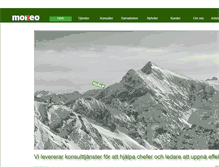 Tablet Screenshot of moneo.se